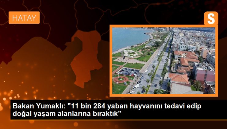 Tarım ve Orman Bakanı: 2023’te 11 bin 284 yaban hayvanı tedavi edilip doğal yaşam alanlarına bırakıldı