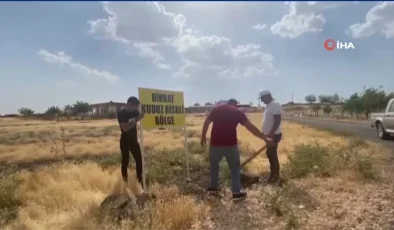 Şanlıurfa’da bir kuduz vakası daha Vatandaşlar önlem almadığı gerekçesiyle belediyeyi eleştirdi – ‘Çocuklarımız okula gidemiyor’